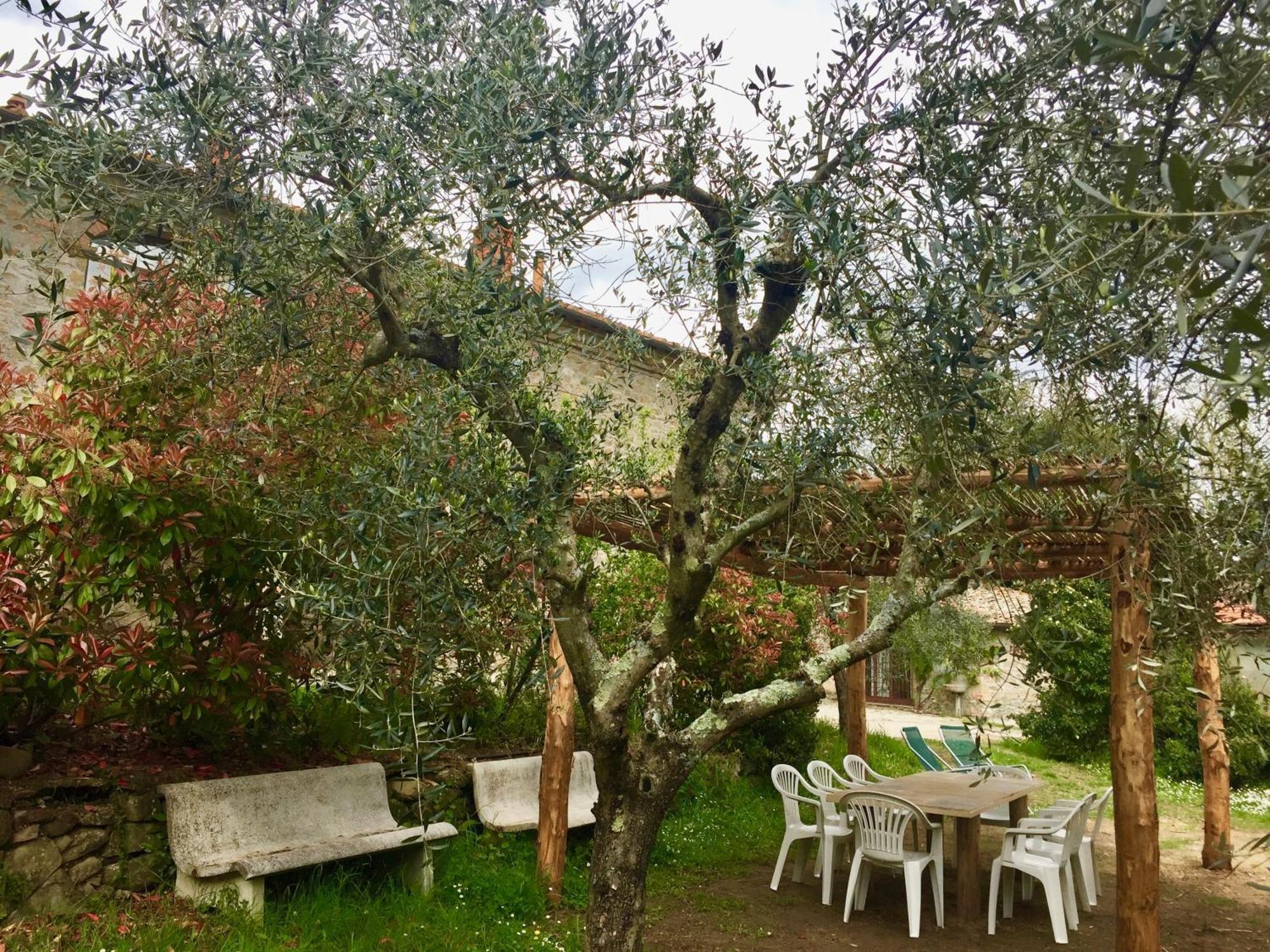 Agriturismo Fattoria Celle Figline Valdarno Cameră foto