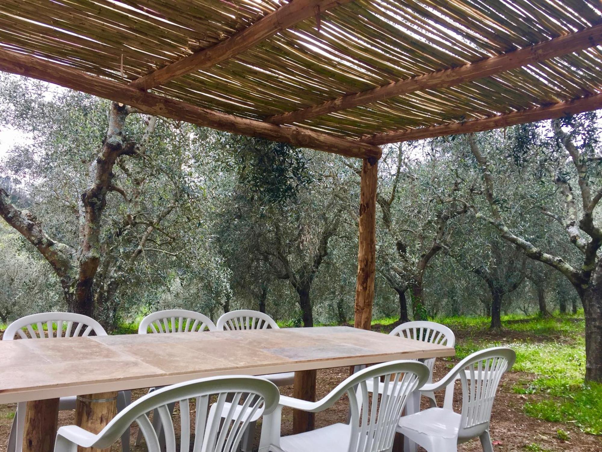 Agriturismo Fattoria Celle Figline Valdarno Cameră foto